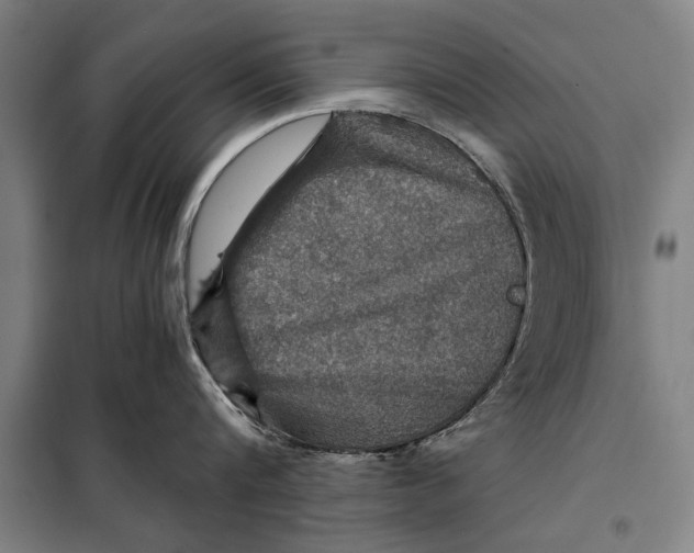 X0000097900816200804041436