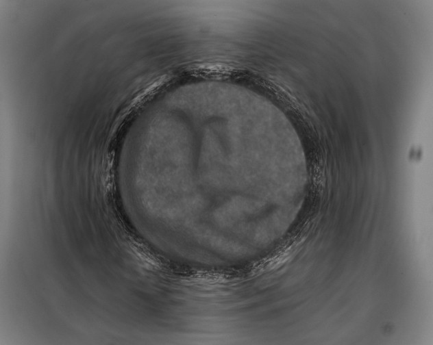 X0000097900818200804041435