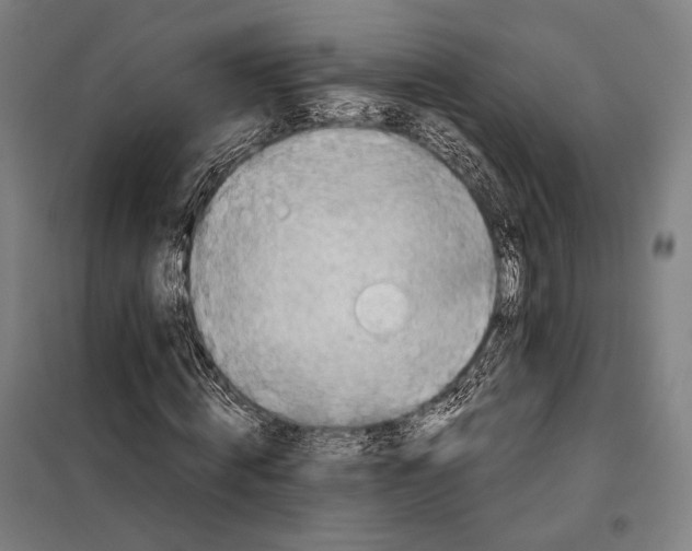 X0000097900820200804041435