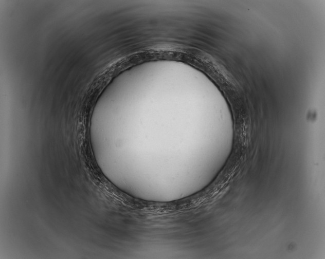 X0000097900821200804041435