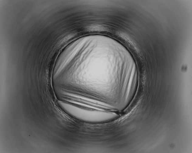 X0000097900825200804041435