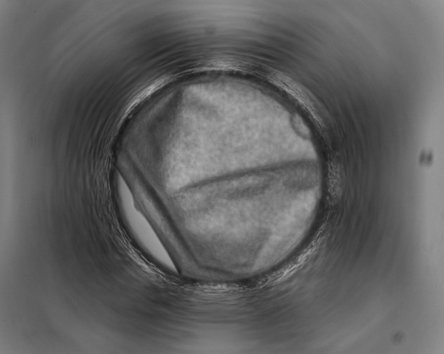 X0000097900826200804041435