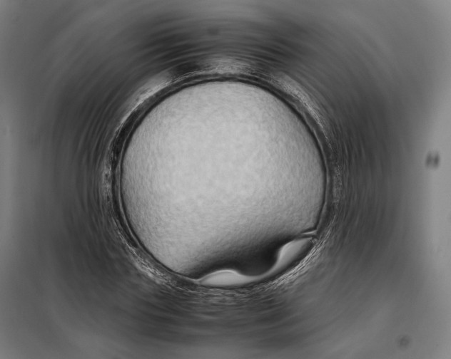 X0000097900827200804041435