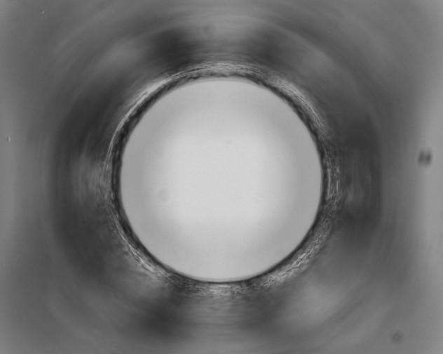 X0000097900828200804041435