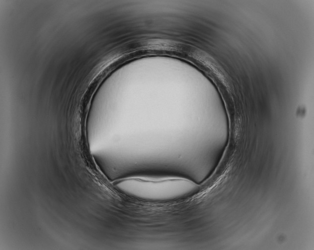 X0000097900829200804041435