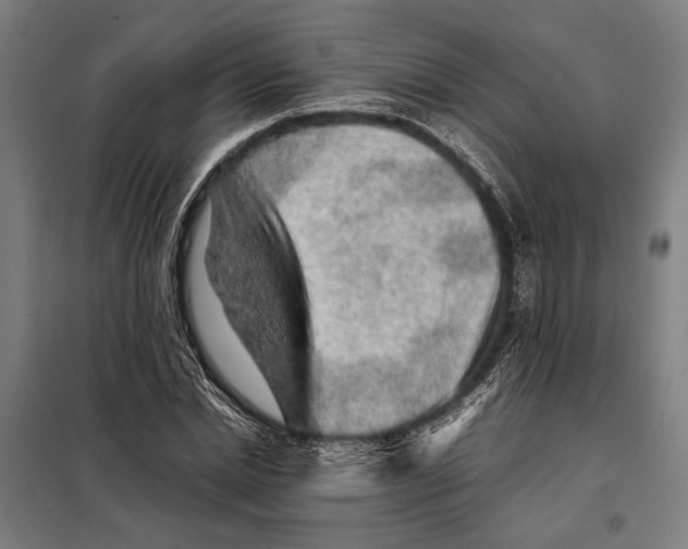 X0000097900830200804041435