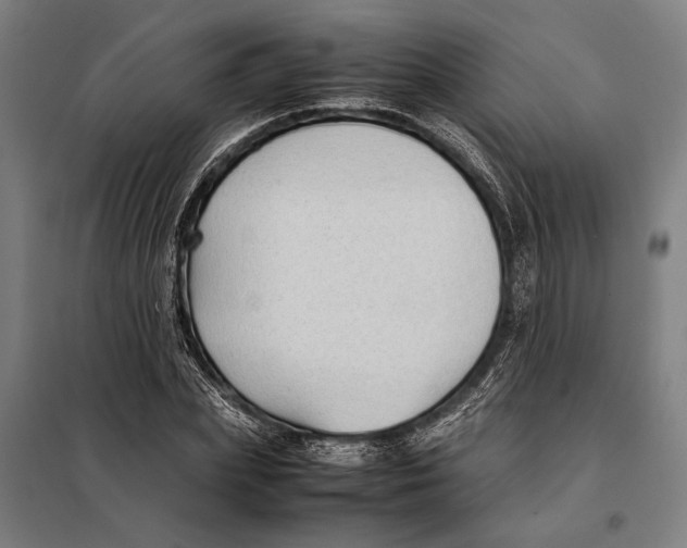 X0000097900831200804041435