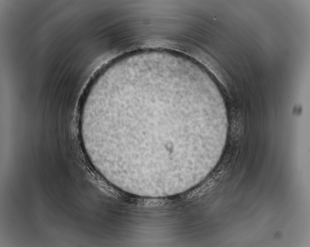 X0000097900832200804041435