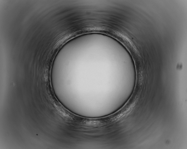 X0000097900833200804041435