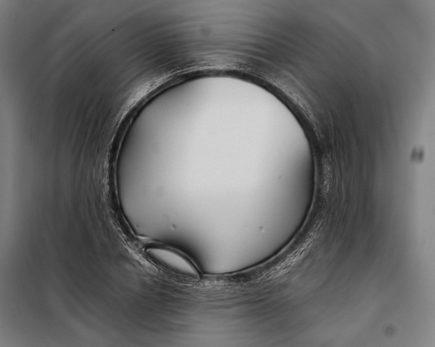 X0000097900834200804041435