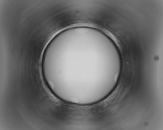 X0000097900836200804041435