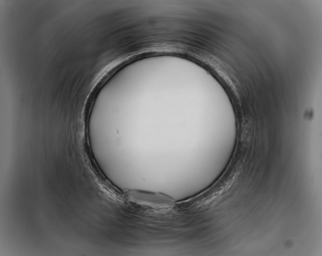 X0000097900837200804041435