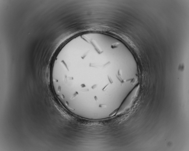 X0000097900838200804041435