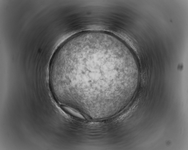 X0000097900839200804041435