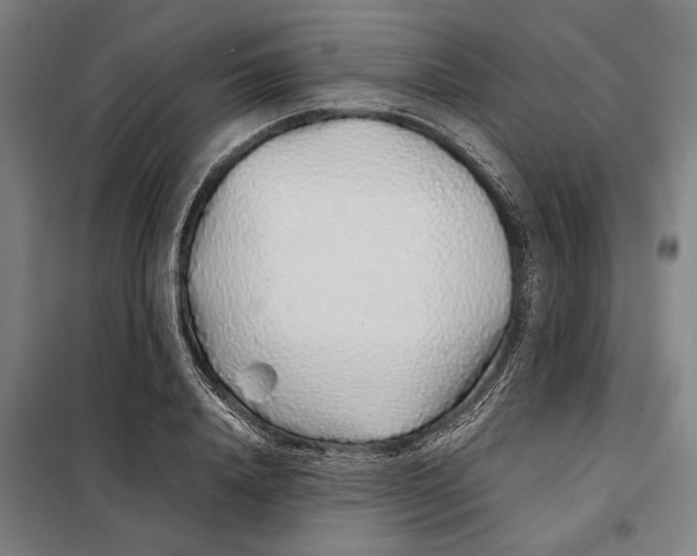 X0000097900840200804041435