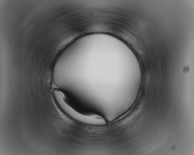 X0000097900841200804041435