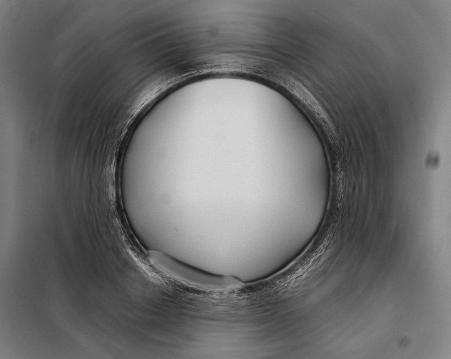 X0000097900842200804041435