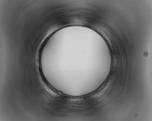 X0000097900843200804041435