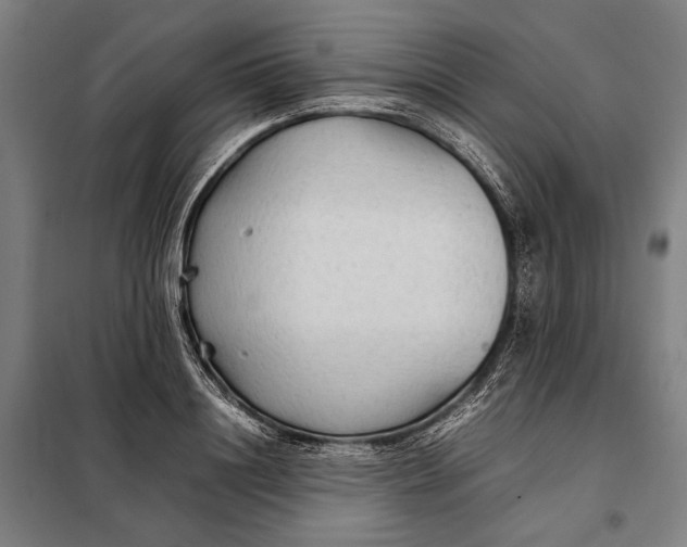 X0000097900844200804041435