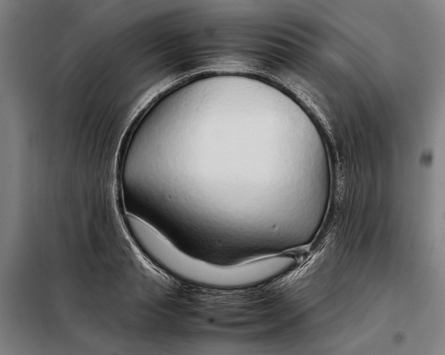 X0000097900845200804041435