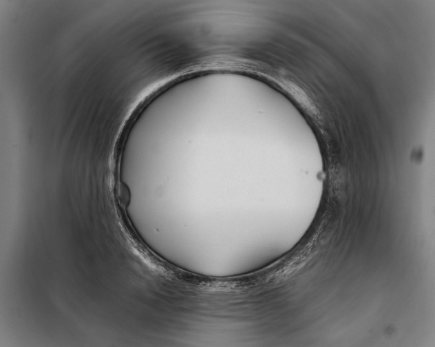 X0000097900846200804041435