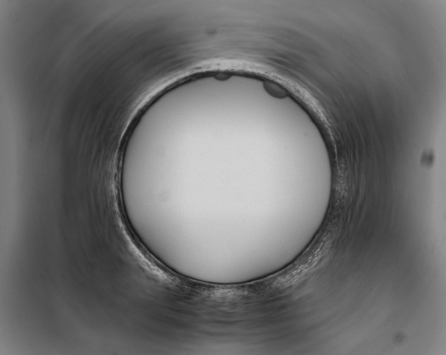 X0000097900847200804041435