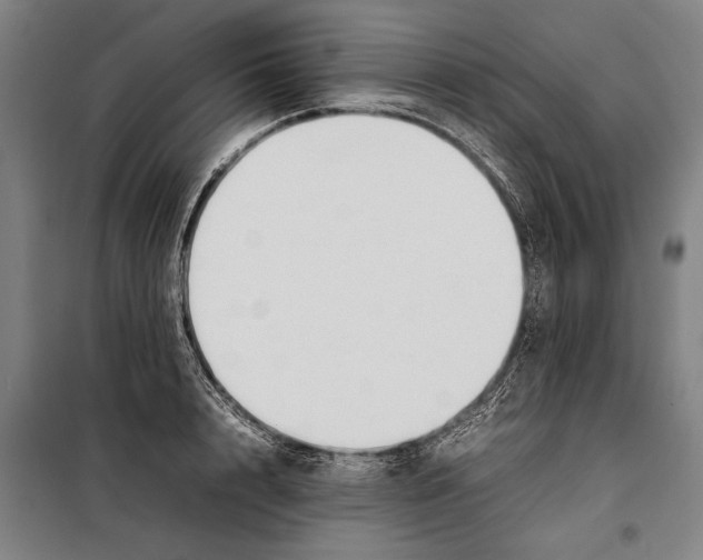 X0000097900848200804041435