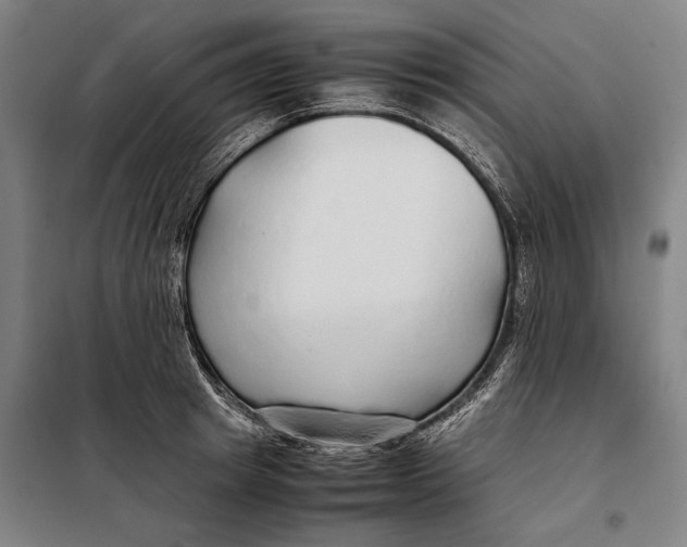 X0000097900849200804041435