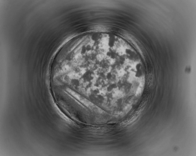 X0000097900851200804041435