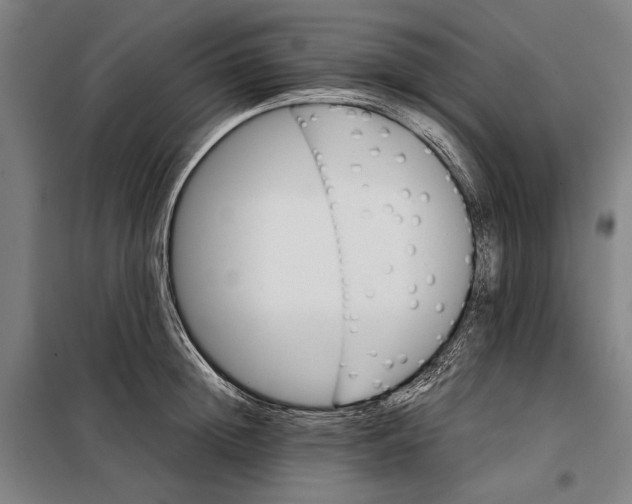 X0000097900852200804041435