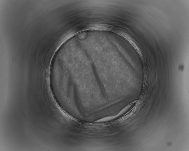 X0000097900853200804041435