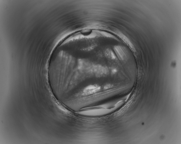 X0000097900854200804041435