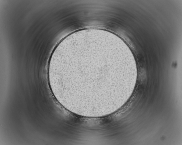 X0000097900856200804041435