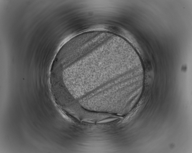 X0000097900858200804041435