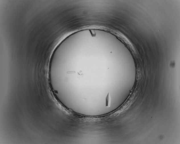 X0000097900860200804041436