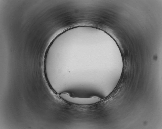 X0000097900861200804041436