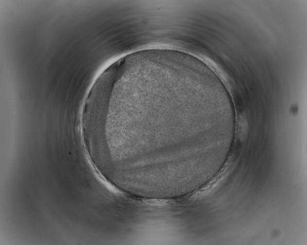 X0000097900862200804041436