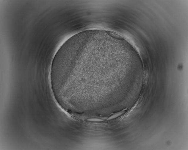 X0000097900863200804041436