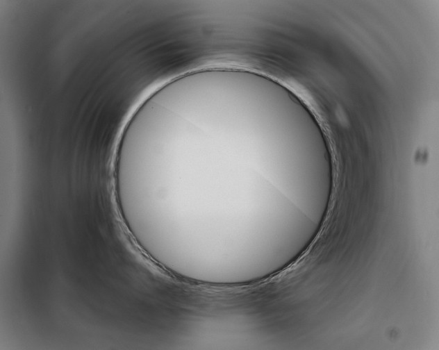 X0000097900864200804041436