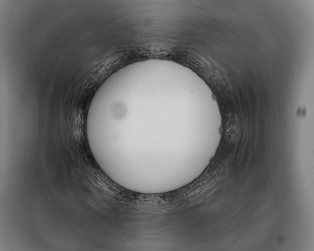 X0000097900866200804041435