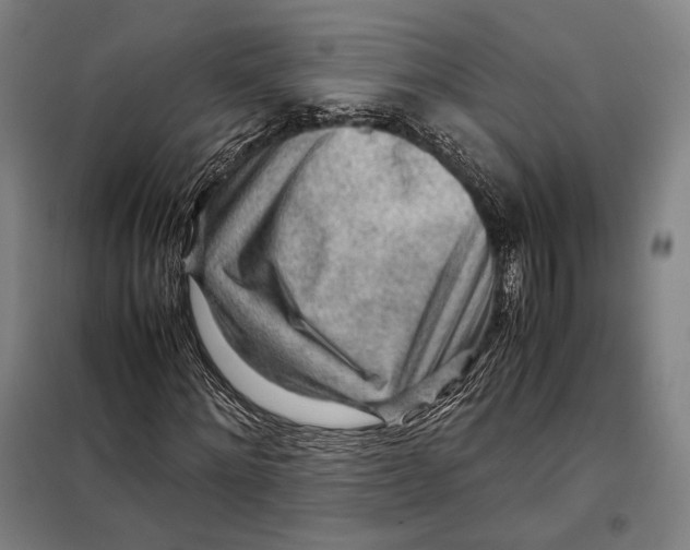 X0000097900868200804041435