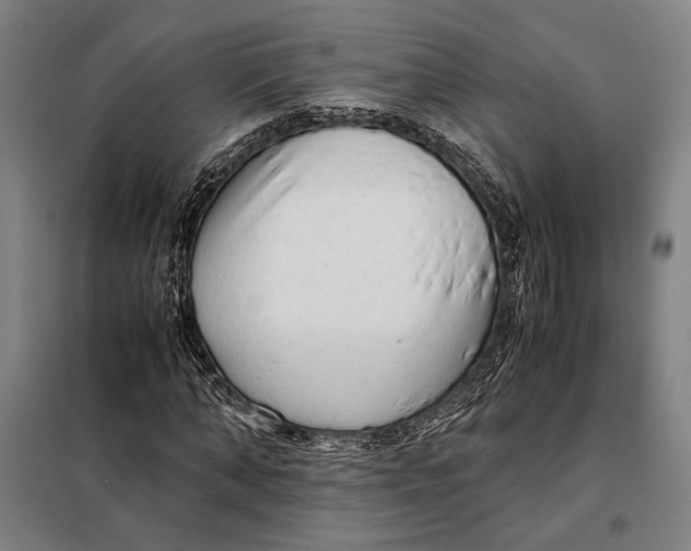 X0000097900870200804041435