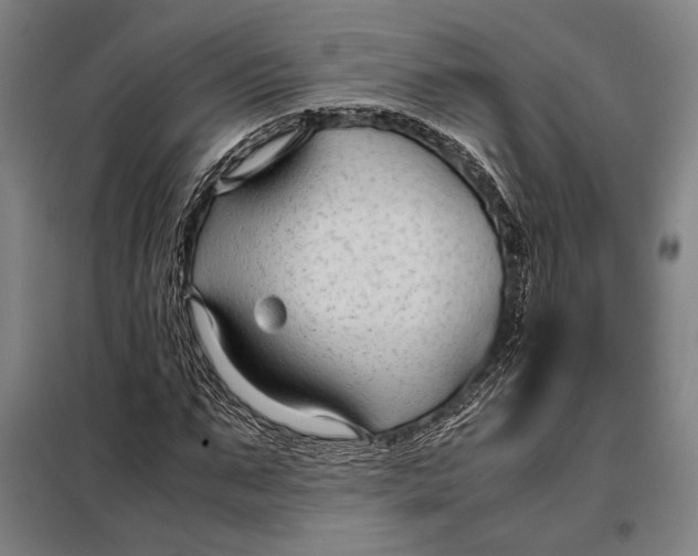 X0000097900871200804041435