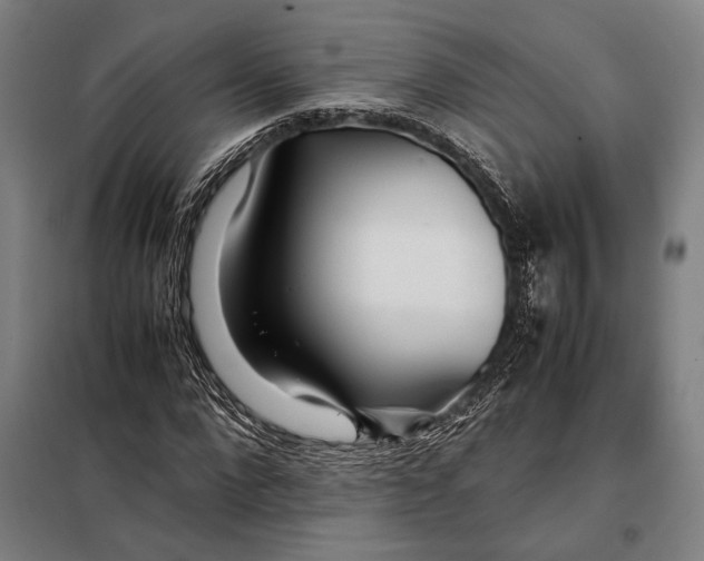 X0000097900872200804041435