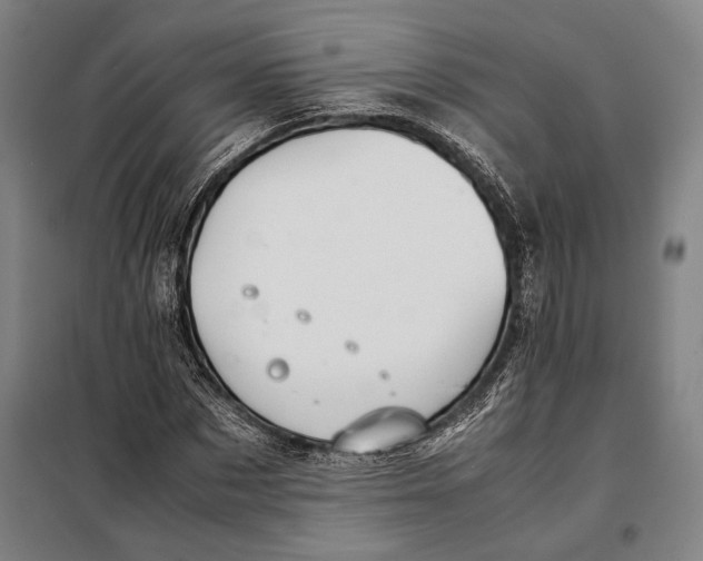 X0000097900873200804041435