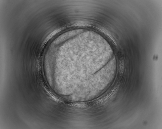 X0000097900874200804041435