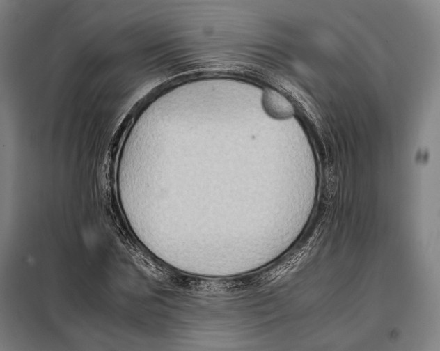 X0000097900875200804041435