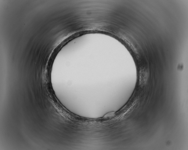 X0000097900876200804041435