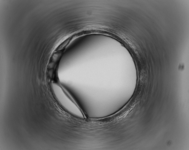 X0000097900877200804041435