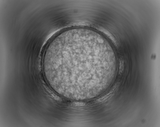 X0000097900878200804041435